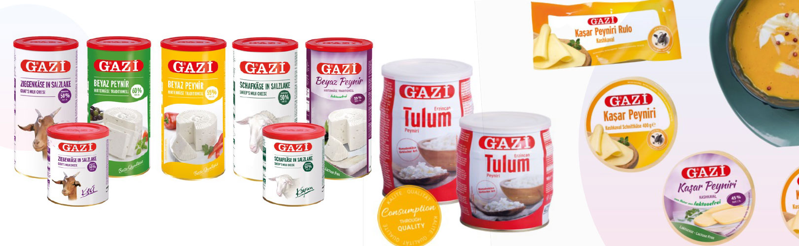 gazi